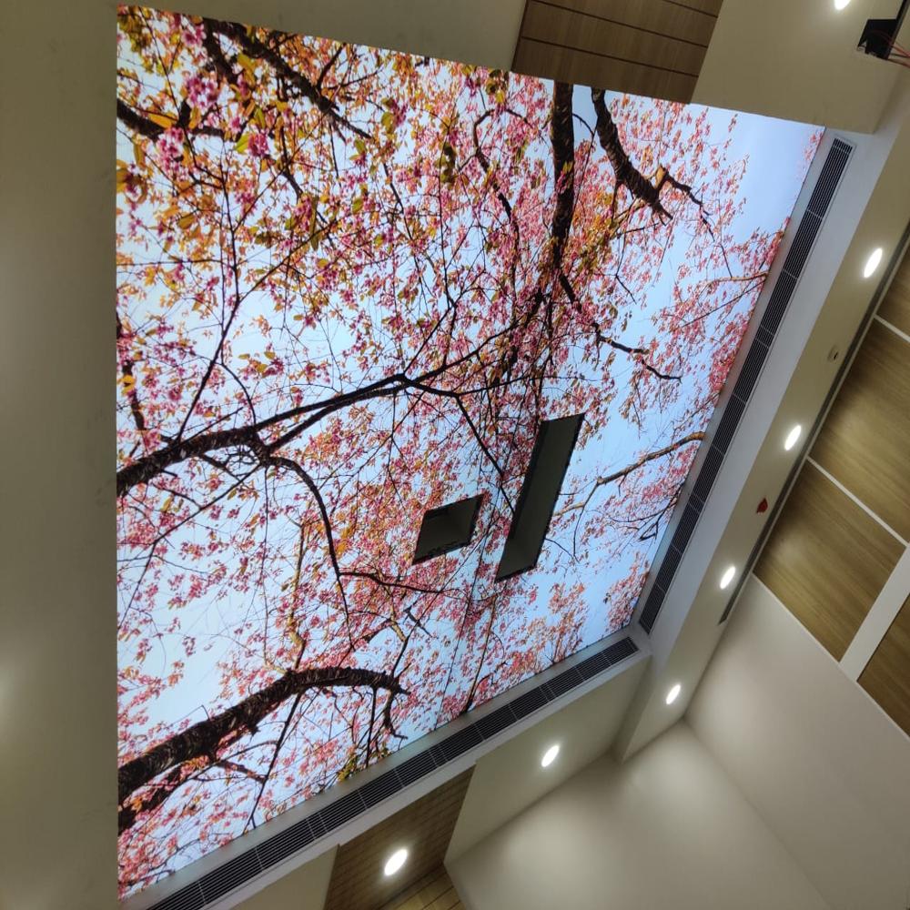 Customized Pvc 3d Led Light Stretch Ceiling - Features: Waterproof