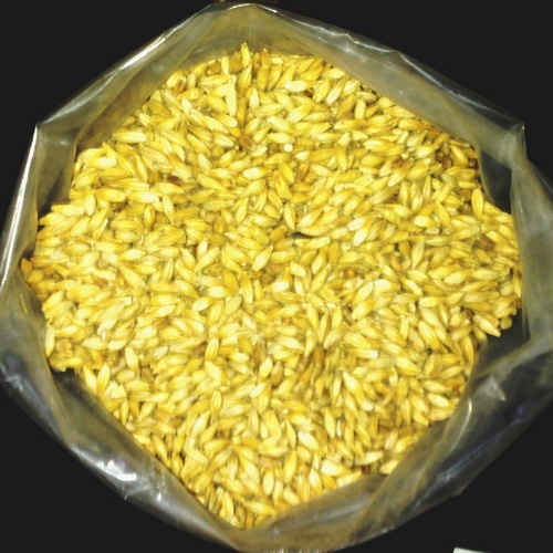 जौ माल्ट अनाज