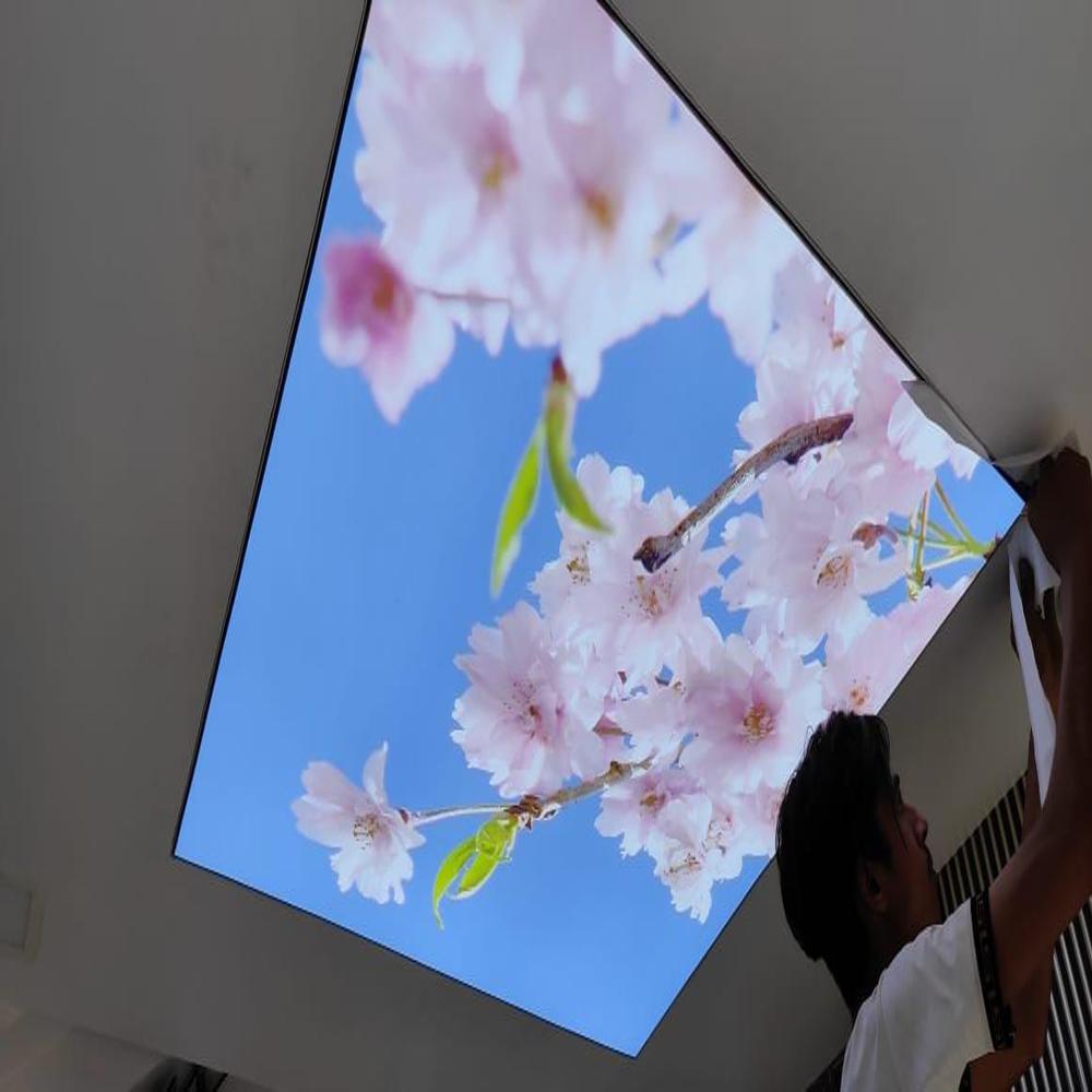 0.5mm PVC European Style Crystal Flower Stretch Ceiling