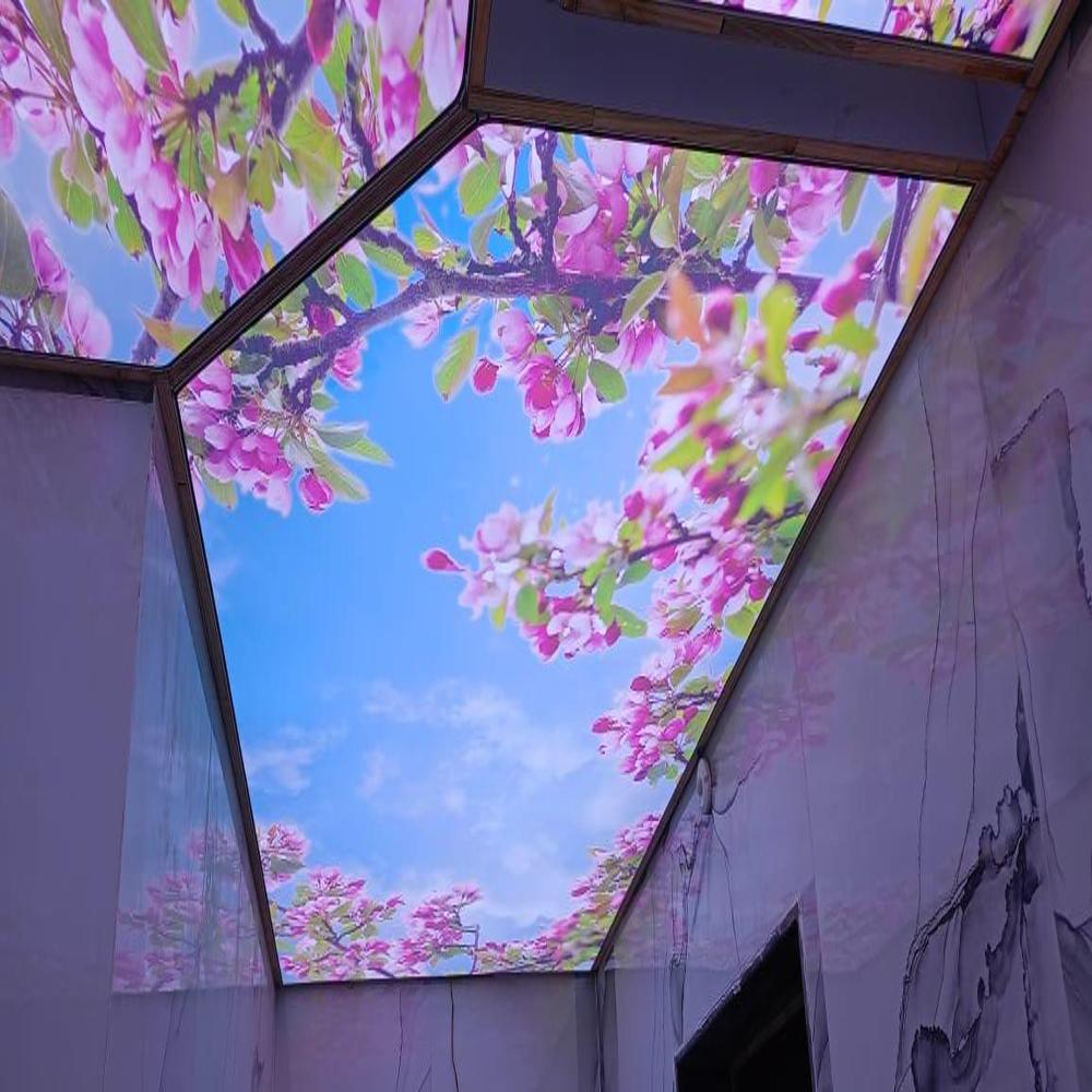 PVC European Style Crystal Flower Stretch Ceiling