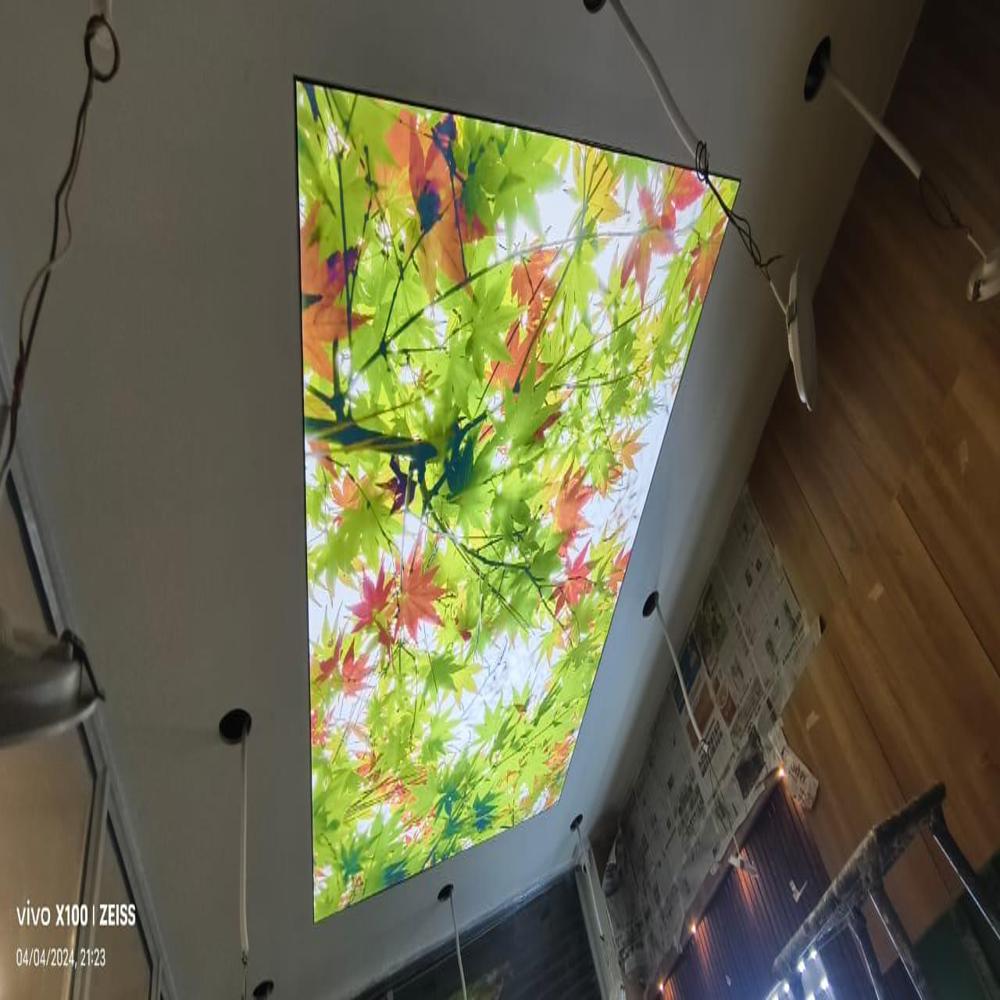 PVC European Style Crystal Flower Stretch Ceiling