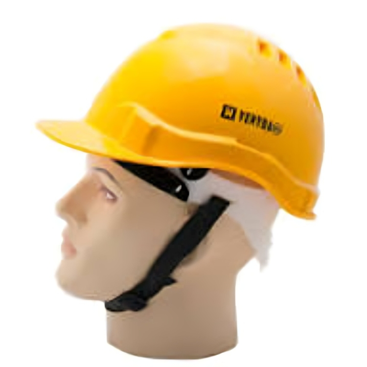 Safety Helmet