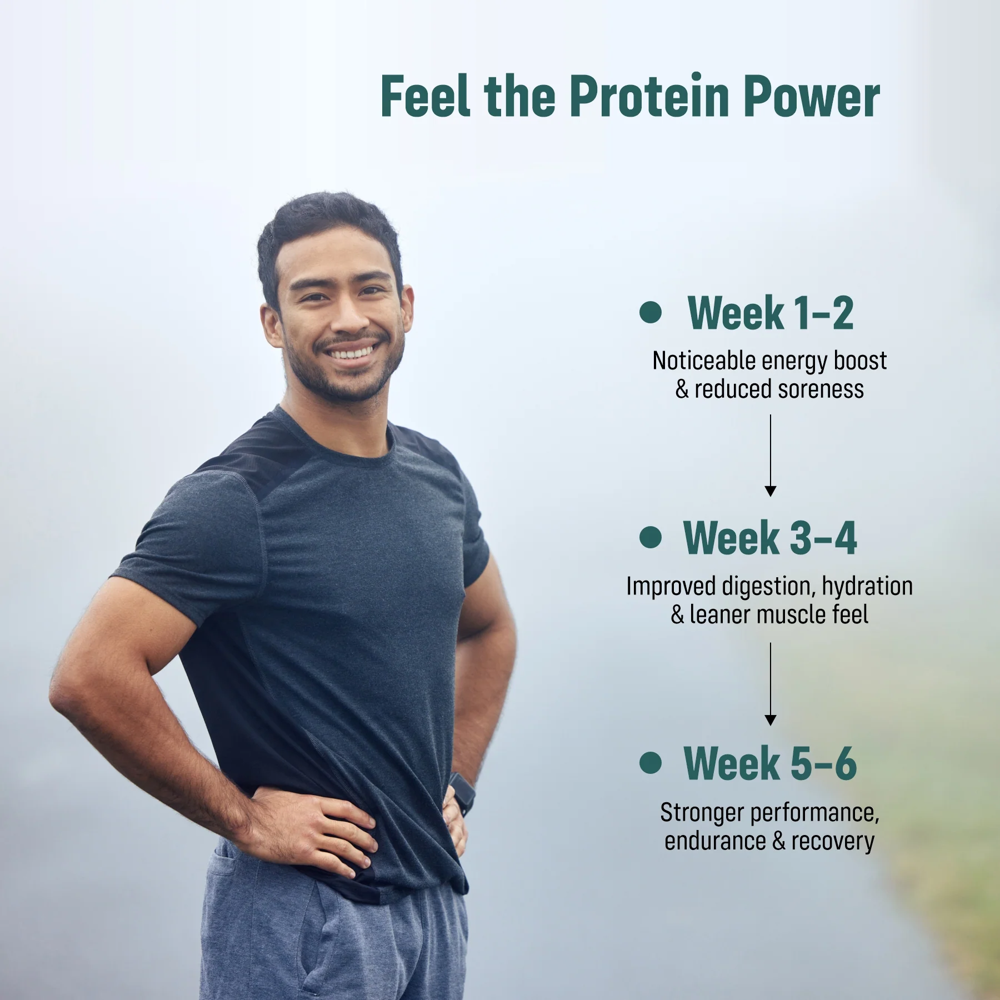 Whey Protein - Application: Daily Nutritional Supplementation  Supports:  Energy And Stamina  Muscle Nourishment  Balanced Diet Completion  General Wellness  Suitable For:  Adults  Active Individuals  Elderly Nutrition Support  Recovery Nutrition