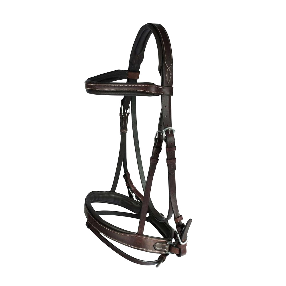Horse Leather Bridle