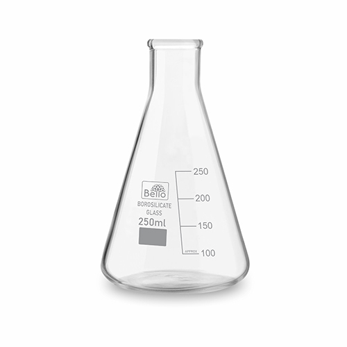 250 Ml Conical Flask