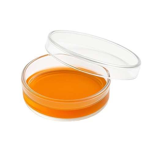 50 MM Borosilicate Glass Petri Dish