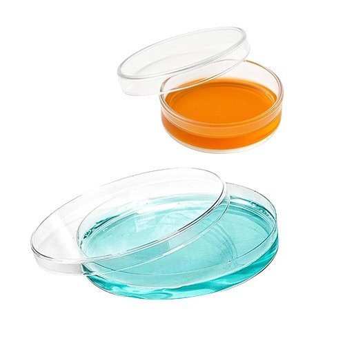 90 MM Borosilicate Glass Petri Dish