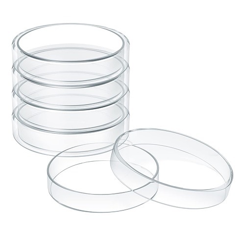 100 MM Borosilicate Glass Petri Dish