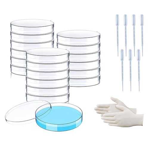 50 MM Polypropylene Plastic Petri Dish