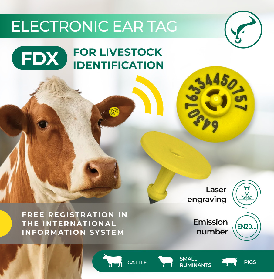 Electronic Ear Tag Fdx-b, 134.2 Khz, (D30 / D30) - Color: Yellow