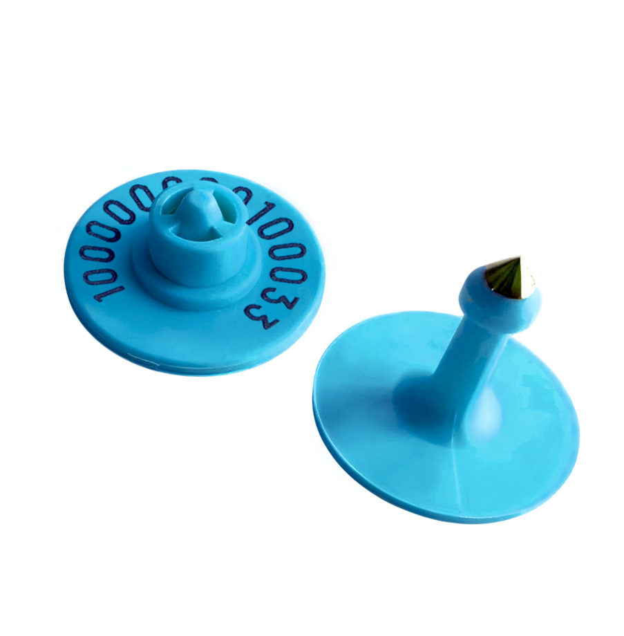 Blue UHF Electronic Ear Tag