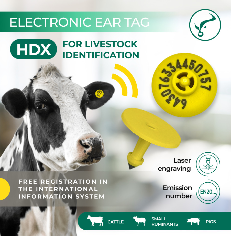Electronic Ear Tag Hdx, 134.2 Khz, (D30 / D30) - Color: Yellow