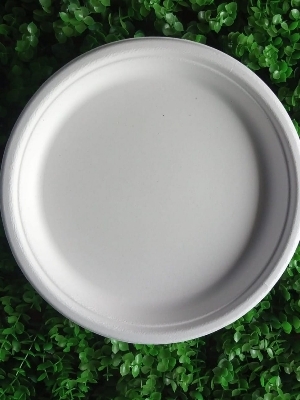 10 inch Round Plate (DISPOSAL)