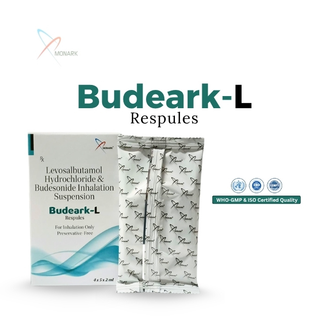 Levosalbutamol 1.25Mg Hydrochloride & Budesonide 0.5Mg Inhalation Suspention - Drug Type: General Medicines