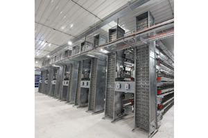 Auto Egg Collection System - Feature: Corrosion Resistance