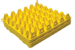 Breeder Crate Egg Tray