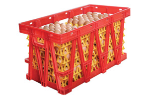 Egg Crate