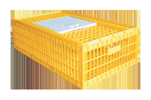 Bird Transportation Cage