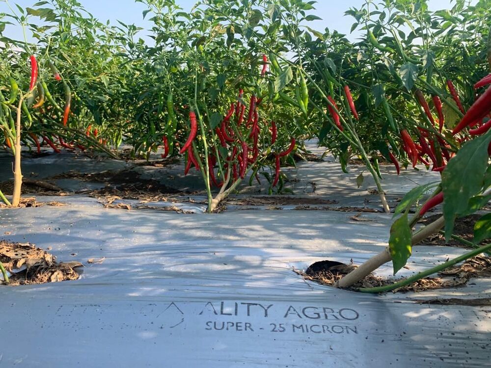 3 Star to 7 Star Champion  Quality Mulch Film