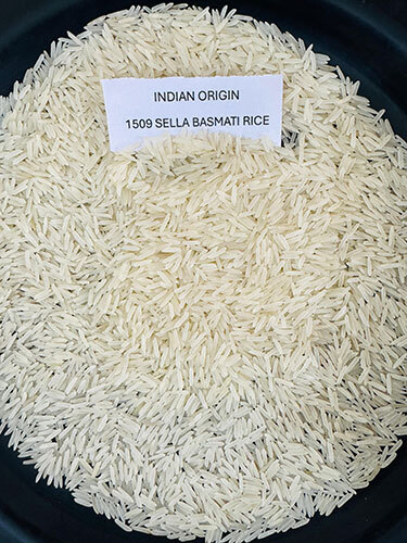 1509 Sella Basmati Rice - Cultivation Type: Common