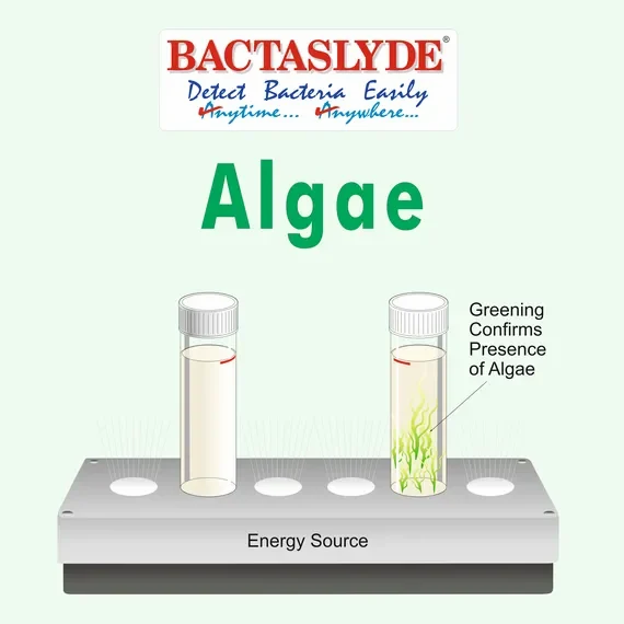 Bactaslyde Test Kits