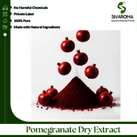 Pomegranate Dry Extract - Color: Light Pink To Reddish-brown