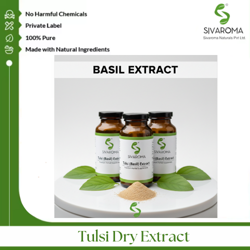 Tulsi Dry Extract - Color: Greenish Brown