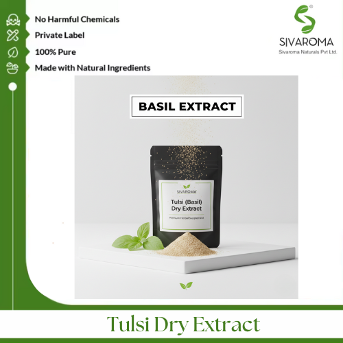 Tulsi Dry Extract - Color: Greenish Brown