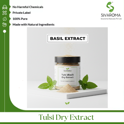 Tulsi Dry Extract - Color: Greenish Brown
