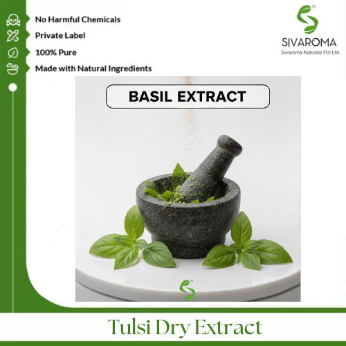 Tulsi Dry Extract - Color: Greenish Brown