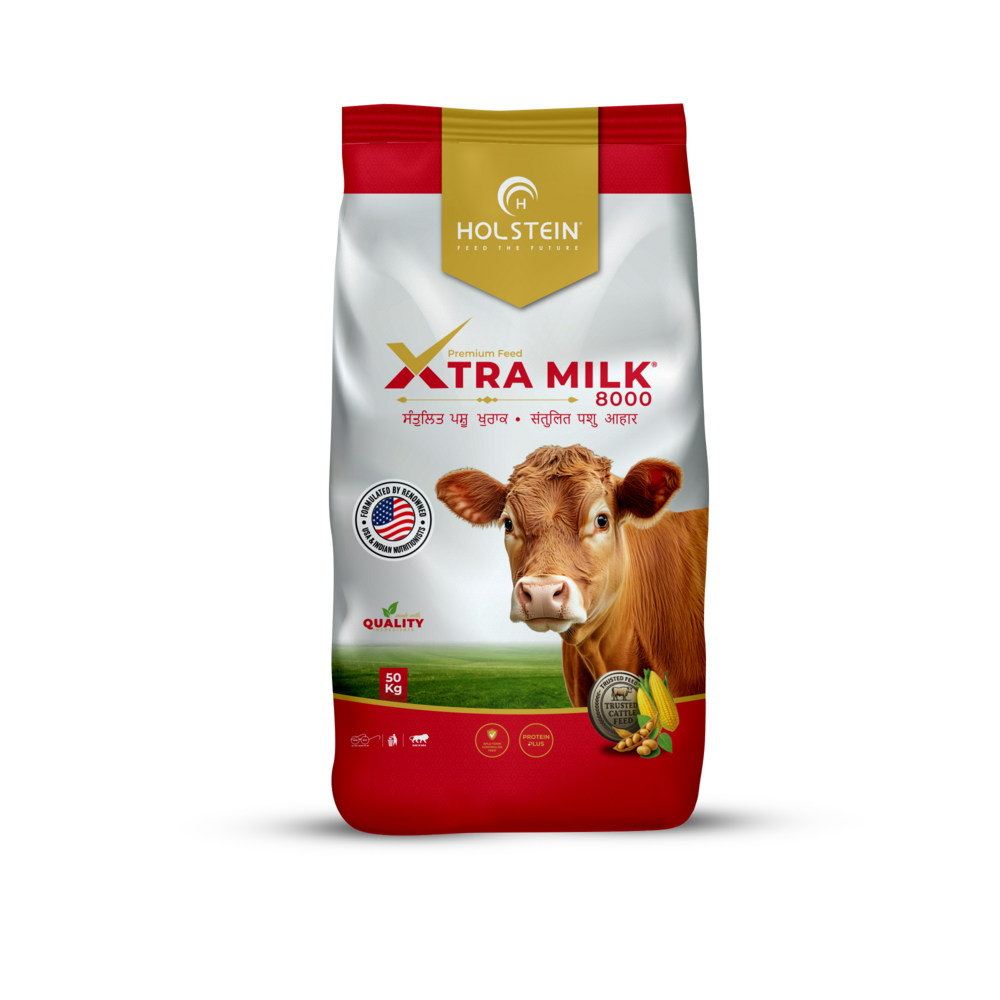 Holstein Xtra Milk 8000 - Best High Milk Cattle Feed Pellet - Efficacy: Promote Healthy