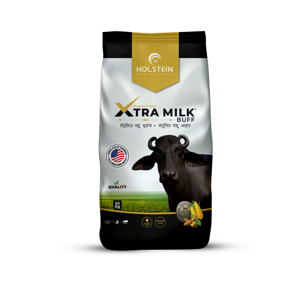 Holstein Xtra Milk Buff - Best Organic Buffalo Cattle Feed Pellet - Application: Water