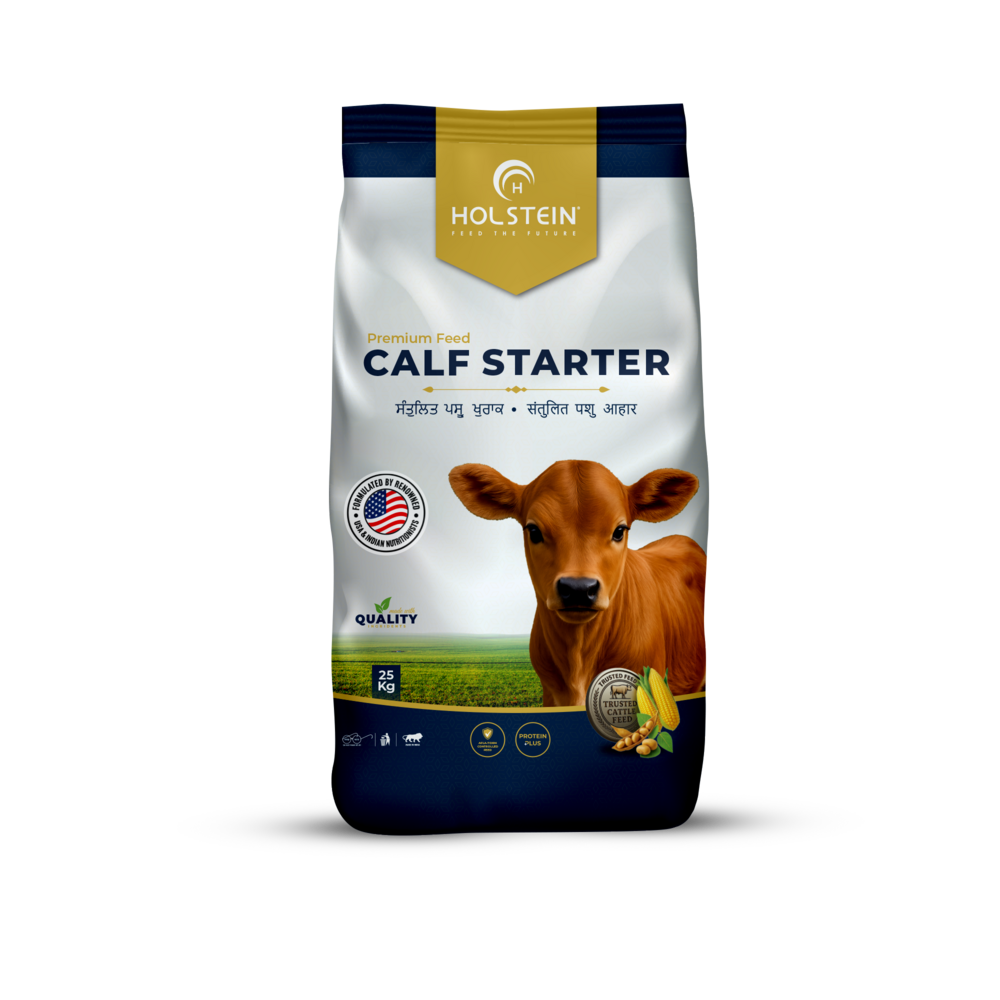 Holstein Calf Starter 25 Kg - Best Organic Calf Cattle Feed - Physical Form: Powder