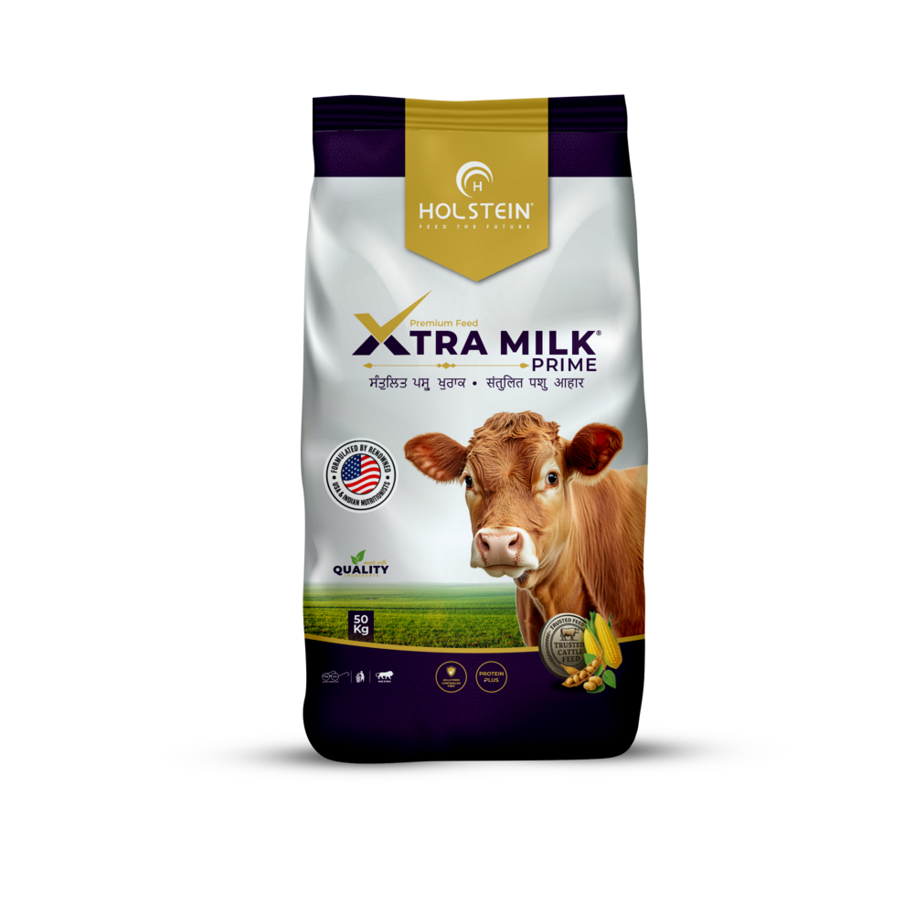 Holstein Xtra Milk Prime - Premium Cattle Feed For High Yield Cow - Physical Form: Powder