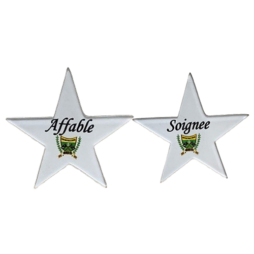 Shape Cut Badge - Badge Type: Pin