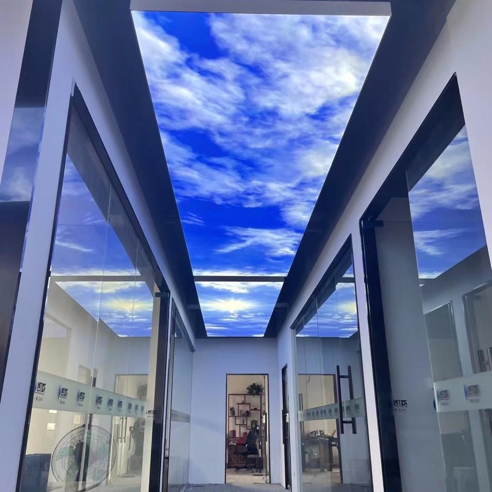 PVC Interior 3D Stretch Ceiling