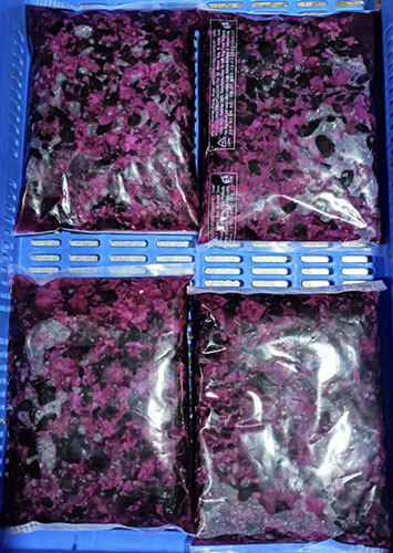 Frozen Jamun Slice Frozen Jamun Slice