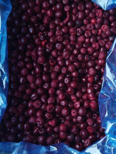 Frozen Cranberry Frozen Cranberry