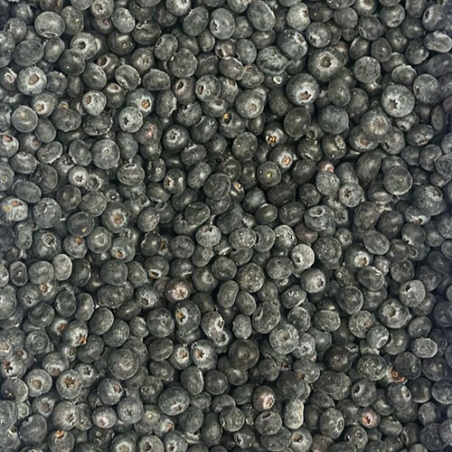 Frozen Blueberry Frozen Blueberry