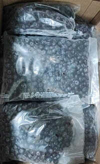 Frozen Blueberry - Packaging: Bulk