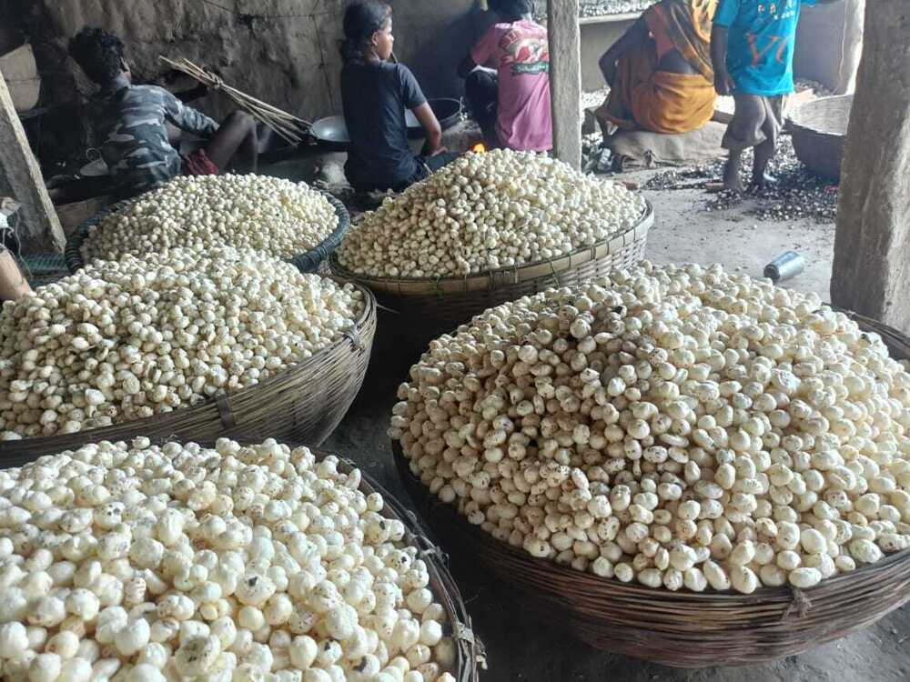 White Phool Makhana
