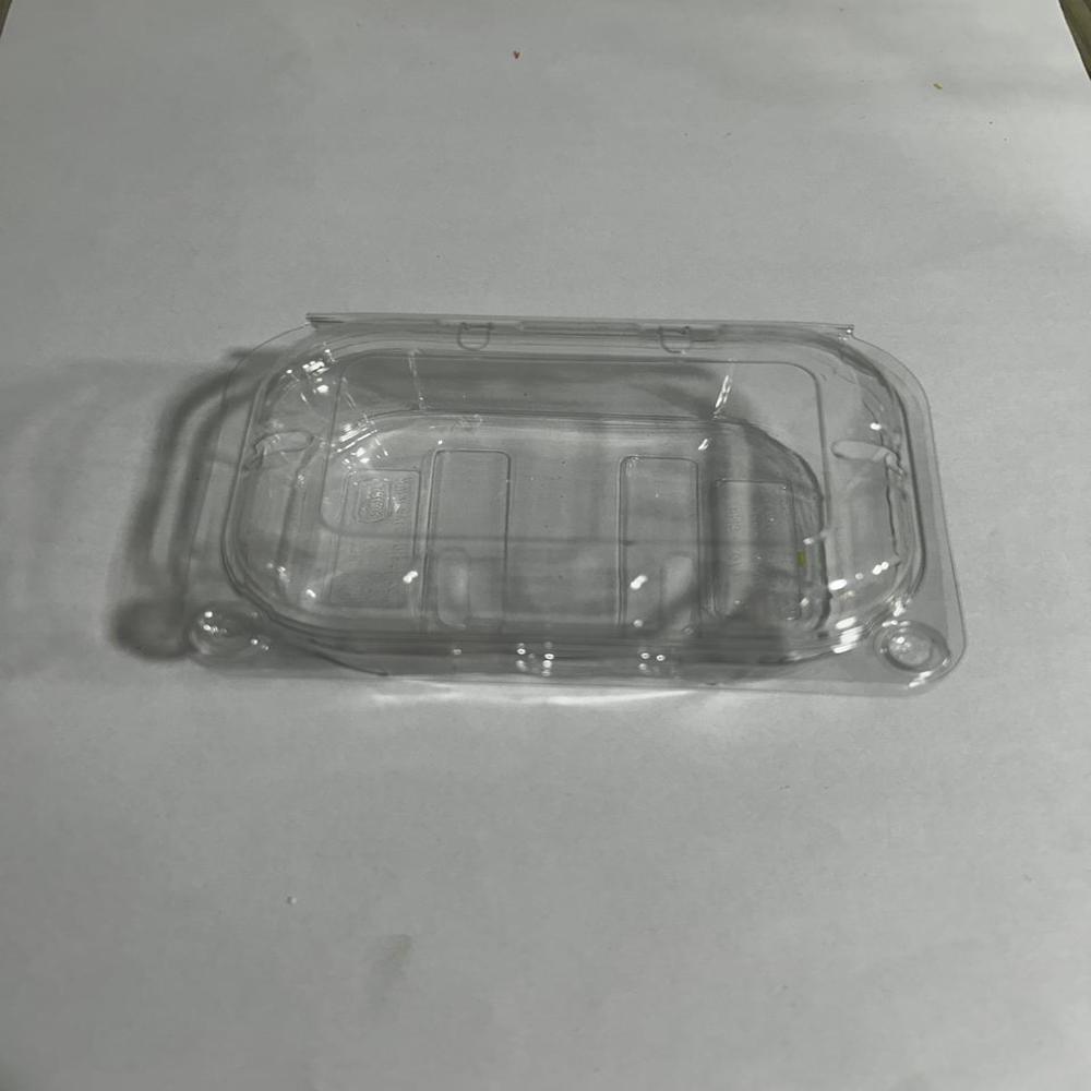 Punnet 100gm 1260pcs