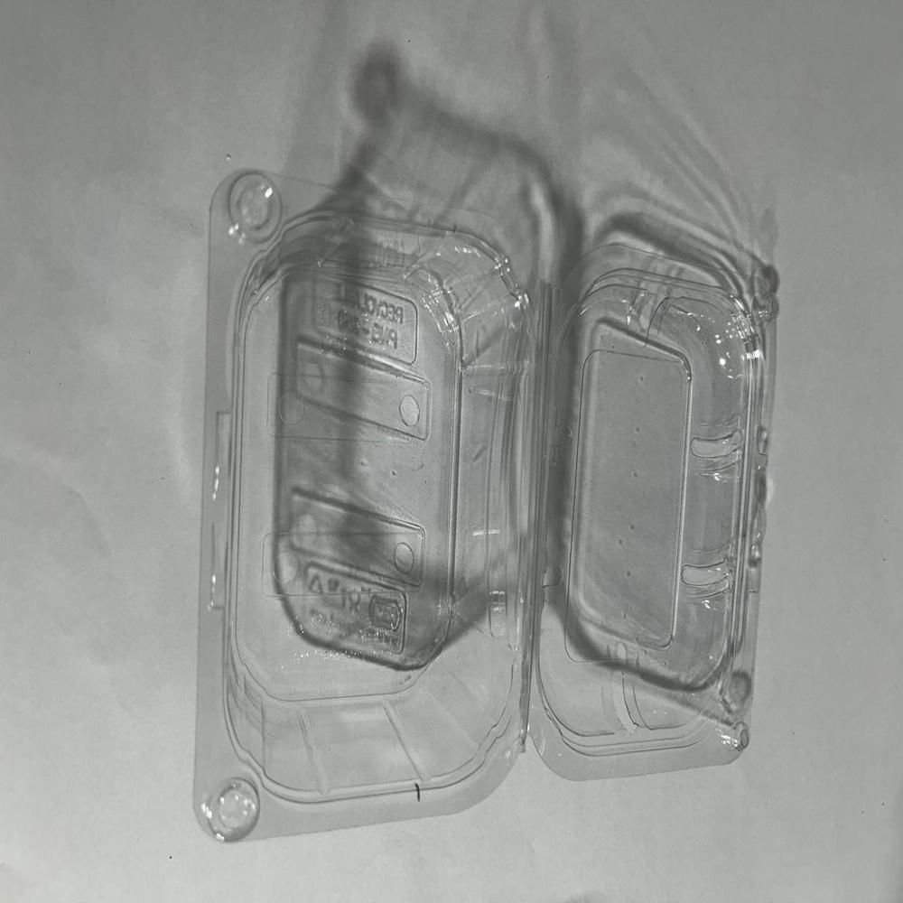 Punnet 100gm 1260pcs