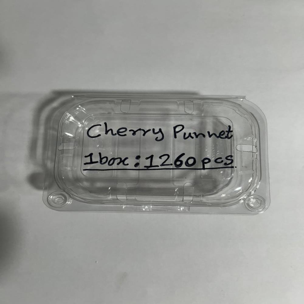Punnet 100gm 1260pcs