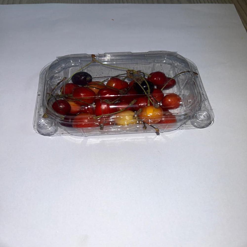 Punnet 100gm 1260pcs