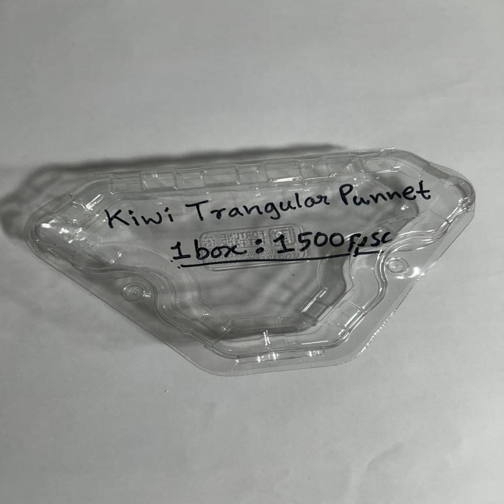 Punnet Kiwi Triangle - Color: Transparent
