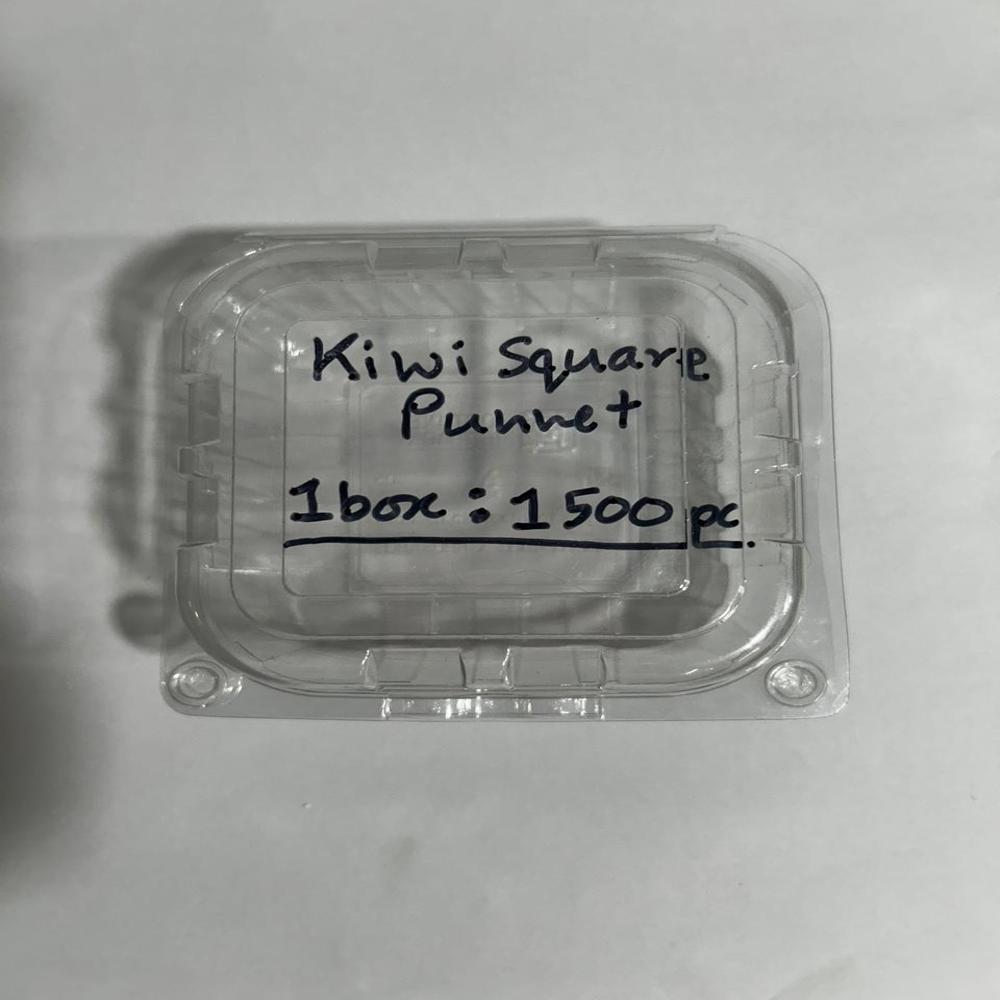 Punnet Kiwi Square 200gm