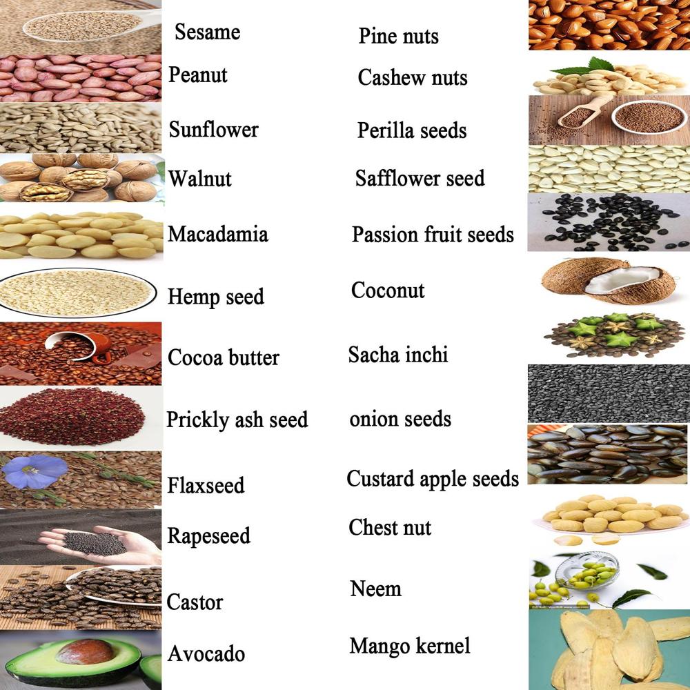 SANDALWOOD SEED COLD PRESS OIL MACHINE 