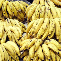 Nendran Yellow Banana