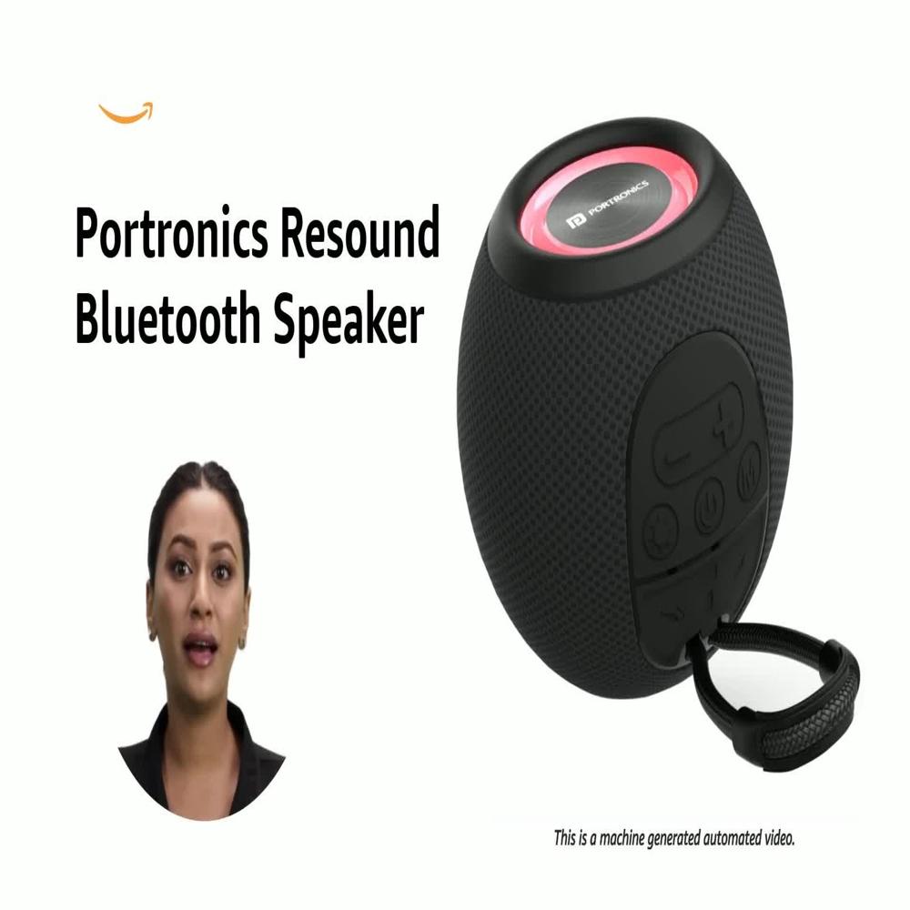Portonics Resound Speakers
